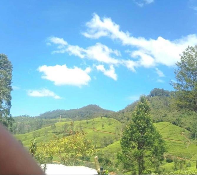 Nuwaraeliya Penthouse Apartment With Pool & Panaromic Views นูวาราเอลิยา ภายนอก รูปภาพ
